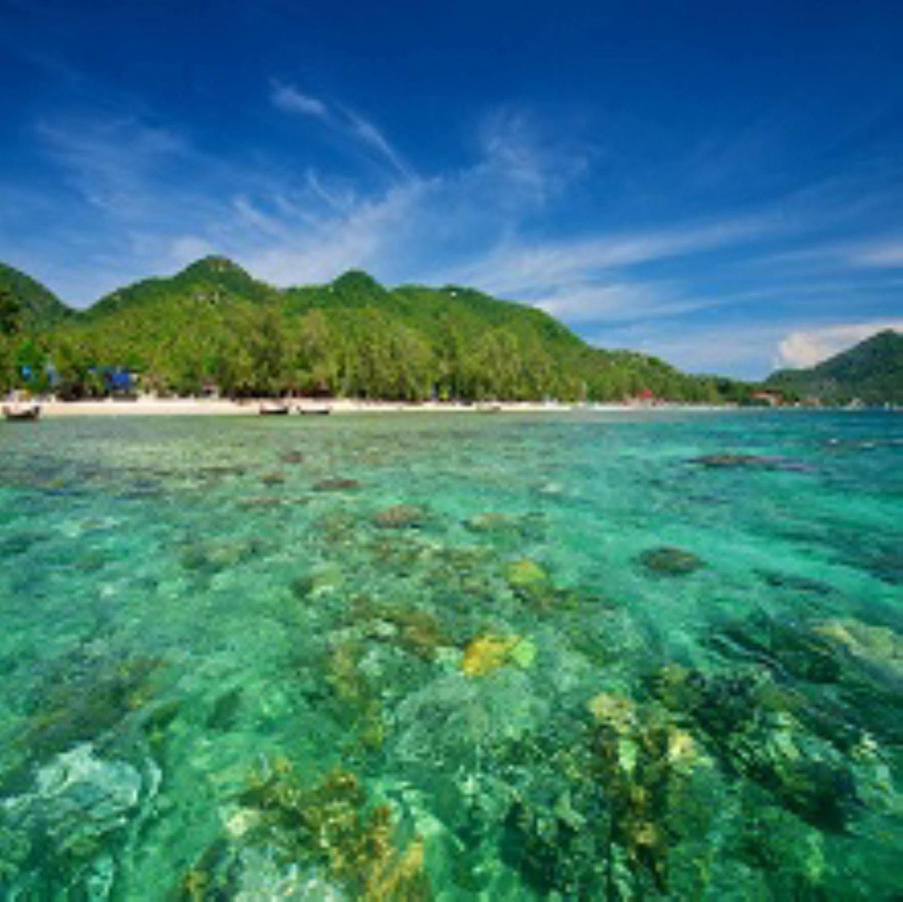 Thalassa Hotel Koh Tao Exterior photo